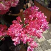 ヒメ日記 2025/01/18 00:39 投稿 上園（うえぞの） 鶯谷デッドボール