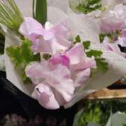 ヒメ日記 2025/01/24 13:49 投稿 上園（うえぞの） 鶯谷デッドボール