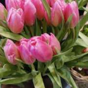 ヒメ日記 2025/01/27 08:56 投稿 上園（うえぞの） 鶯谷デッドボール