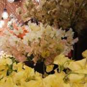 ヒメ日記 2025/01/30 08:09 投稿 上園（うえぞの） 鶯谷デッドボール