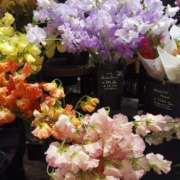 ヒメ日記 2025/01/31 09:08 投稿 上園（うえぞの） 鶯谷デッドボール