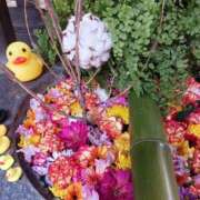 ヒメ日記 2025/02/01 09:29 投稿 上園（うえぞの） 鶯谷デッドボール