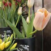 ヒメ日記 2025/02/04 07:39 投稿 上園（うえぞの） 鶯谷デッドボール