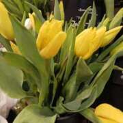 ヒメ日記 2025/02/08 08:31 投稿 上園（うえぞの） 鶯谷デッドボール