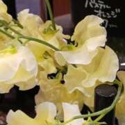 ヒメ日記 2025/02/14 11:09 投稿 上園（うえぞの） 鶯谷デッドボール