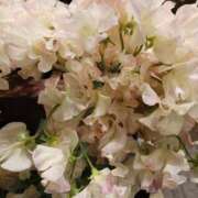 ヒメ日記 2025/02/19 06:02 投稿 上園（うえぞの） 鶯谷デッドボール