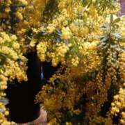 ヒメ日記 2025/02/28 09:29 投稿 上園（うえぞの） 鶯谷デッドボール