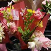 ヒメ日記 2025/03/03 09:40 投稿 上園（うえぞの） 鶯谷デッドボール