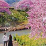 ヒメ日記 2025/03/05 10:04 投稿 上園（うえぞの） 鶯谷デッドボール