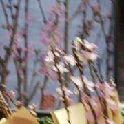 ヒメ日記 2025/03/08 23:22 投稿 上園（うえぞの） 鶯谷デッドボール