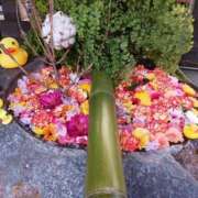 ヒメ日記 2025/03/16 22:39 投稿 上園（うえぞの） 鶯谷デッドボール