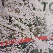 ヒメ日記 2025/03/25 22:19 投稿 上園（うえぞの） 鶯谷デッドボール