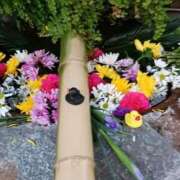 ヒメ日記 2025/03/26 10:09 投稿 上園（うえぞの） 鶯谷デッドボール