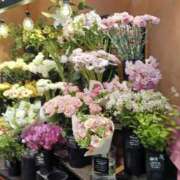 ヒメ日記 2025/03/29 08:08 投稿 上園（うえぞの） 鶯谷デッドボール