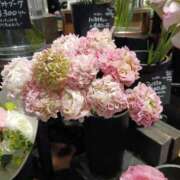 ヒメ日記 2025/03/29 08:19 投稿 上園（うえぞの） 鶯谷デッドボール