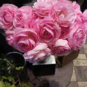 ヒメ日記 2025/03/31 09:16 投稿 上園（うえぞの） 鶯谷デッドボール