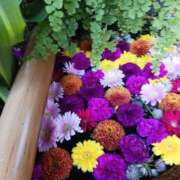 ヒメ日記 2025/04/01 07:09 投稿 上園（うえぞの） 鶯谷デッドボール