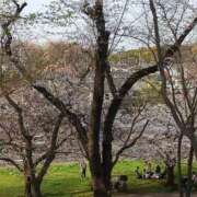 ヒメ日記 2025/04/01 07:39 投稿 上園（うえぞの） 鶯谷デッドボール