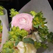 ヒメ日記 2025/04/02 12:49 投稿 上園（うえぞの） 鶯谷デッドボール