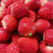 ヒメ日記 2025/04/04 10:16 投稿 上園（うえぞの） 鶯谷デッドボール