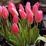 ヒメ日記 2025/04/04 10:39 投稿 上園（うえぞの） 鶯谷デッドボール