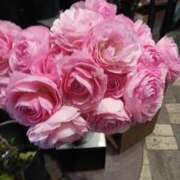 ヒメ日記 2025/04/12 16:09 投稿 上園（うえぞの） 鶯谷デッドボール