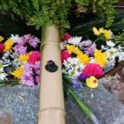 ヒメ日記 2025/04/12 17:59 投稿 上園（うえぞの） 鶯谷デッドボール