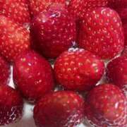 ヒメ日記 2025/04/14 09:10 投稿 上園（うえぞの） 鶯谷デッドボール