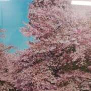 ヒメ日記 2025/04/15 12:29 投稿 上園（うえぞの） 鶯谷デッドボール