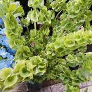 ヒメ日記 2025/04/25 22:44 投稿 上園（うえぞの） 鶯谷デッドボール