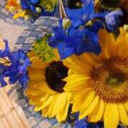 ヒメ日記 2025/05/04 11:12 投稿 上園（うえぞの） 鶯谷デッドボール