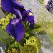 ヒメ日記 2025/05/04 12:10 投稿 上園（うえぞの） 鶯谷デッドボール