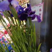 ヒメ日記 2025/05/05 15:29 投稿 上園（うえぞの） 鶯谷デッドボール