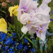 ヒメ日記 2025/05/05 23:39 投稿 上園（うえぞの） 鶯谷デッドボール