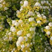 ヒメ日記 2025/05/12 17:09 投稿 上園（うえぞの） 鶯谷デッドボール