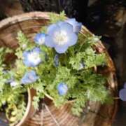 ヒメ日記 2025/05/12 20:49 投稿 上園（うえぞの） 鶯谷デッドボール