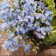 ヒメ日記 2025/05/14 09:08 投稿 上園（うえぞの） 鶯谷デッドボール