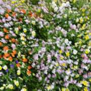 ヒメ日記 2025/05/18 23:40 投稿 上園（うえぞの） 鶯谷デッドボール