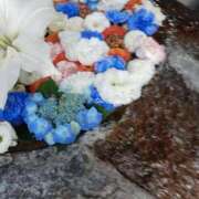 ヒメ日記 2025/06/09 12:49 投稿 上園（うえぞの） 鶯谷デッドボール