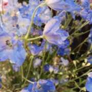 ヒメ日記 2025/06/10 14:49 投稿 上園（うえぞの） 鶯谷デッドボール