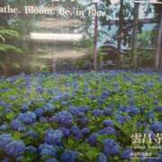 ヒメ日記 2025/06/11 09:25 投稿 上園（うえぞの） 鶯谷デッドボール