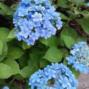 ヒメ日記 2025/06/13 07:39 投稿 上園（うえぞの） 鶯谷デッドボール