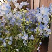 ヒメ日記 2025/06/15 23:29 投稿 上園（うえぞの） 鶯谷デッドボール