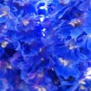 ヒメ日記 2025/06/21 21:59 投稿 上園（うえぞの） 鶯谷デッドボール