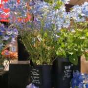 ヒメ日記 2025/06/25 06:39 投稿 上園（うえぞの） 鶯谷デッドボール