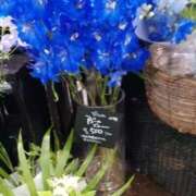 ヒメ日記 2025/07/02 08:39 投稿 上園（うえぞの） 鶯谷デッドボール