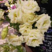 ヒメ日記 2025/07/02 08:44 投稿 上園（うえぞの） 鶯谷デッドボール