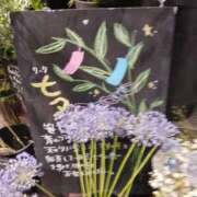 ヒメ日記 2025/07/07 08:03 投稿 上園（うえぞの） 鶯谷デッドボール