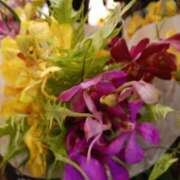 ヒメ日記 2025/07/07 22:32 投稿 上園（うえぞの） 鶯谷デッドボール