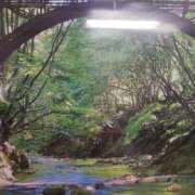 ヒメ日記 2025/07/10 23:41 投稿 上園（うえぞの） 鶯谷デッドボール